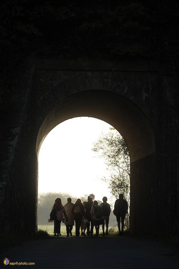 Nom de l'image : D30082930_1_(c)Norbert-JUNG — Description :